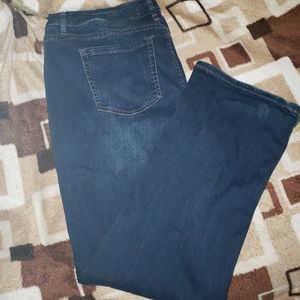EUC Lane Bryant Jeans size 20